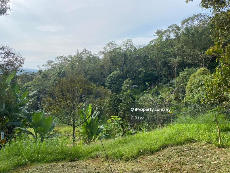 Residential Land for Sale in Broga, Lenggeng by C.B.Lee - iProperty.com.my