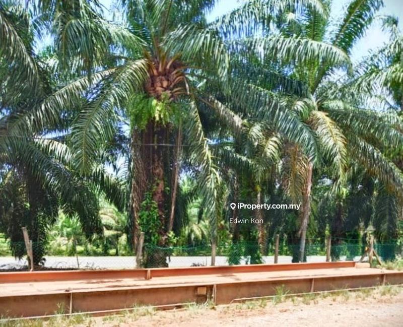 Tanah Pertanian untuk Dijual di Taman Gua Musang, Gua Musang oleh Edwin Kon - iProperty.com.my