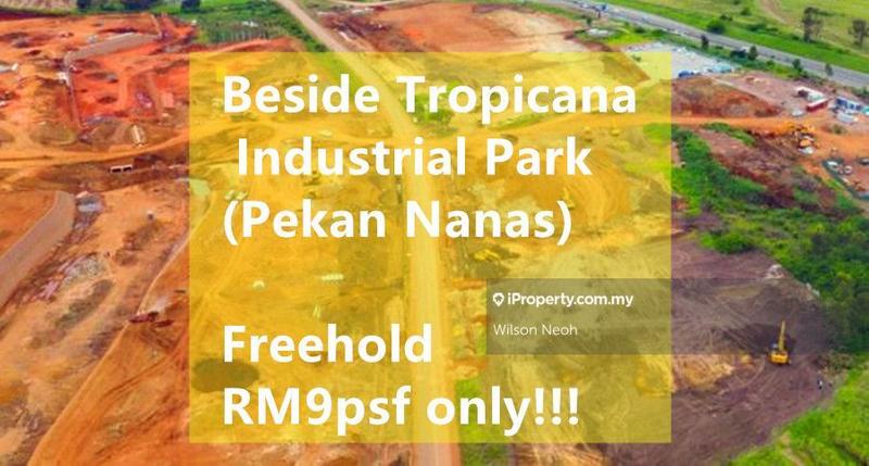 For Sale - Pekan Freehold Land (Beside Tropoicana Industrial Land) RM9 psf only!