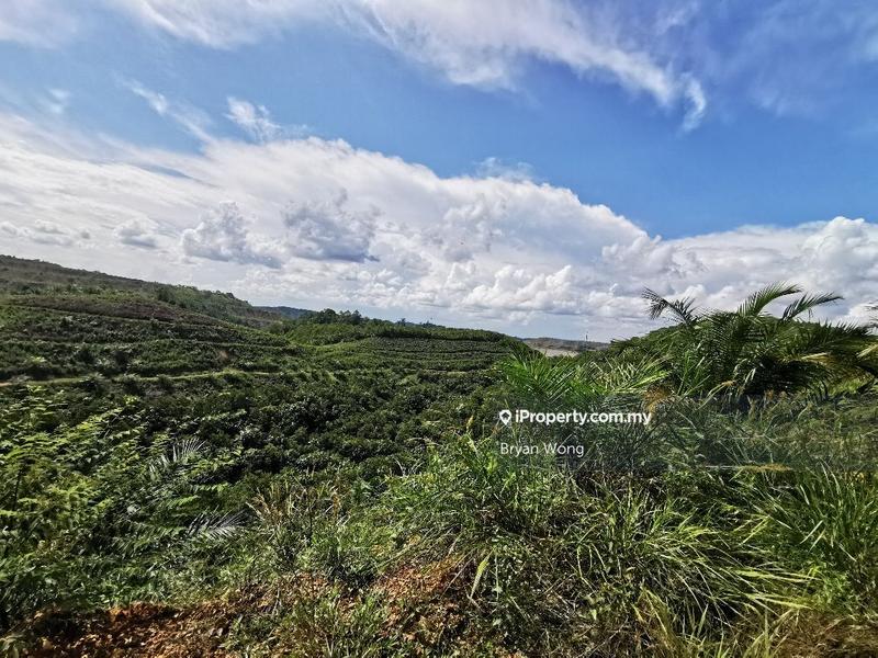 Agricultural Land for Sale in Penjom, Kuala Lipis Agriculture Land, Pahang, Raub by Bryan Wong - iProperty.com.my