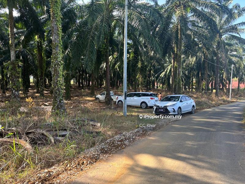 Tanah Kediaman untuk Dijual di Hulu Terengganu, Terengganu oleh CC Khor - iProperty.com.my