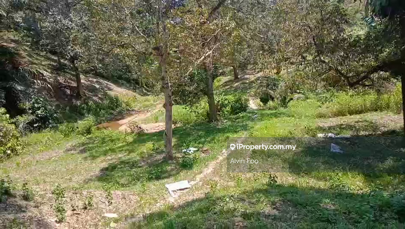 Agricultural Land for Sale in Bentong, Bentong by Alvin Foo - iProperty.com.my