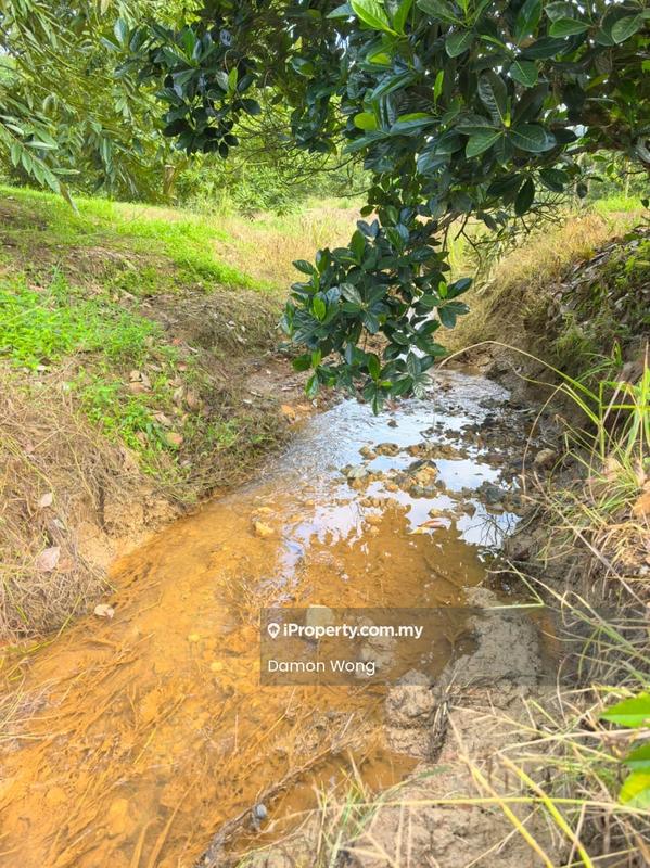 Agricultural Land for Sale in Karak, Karak by Damon Wong - Garden - iProperty.com.my