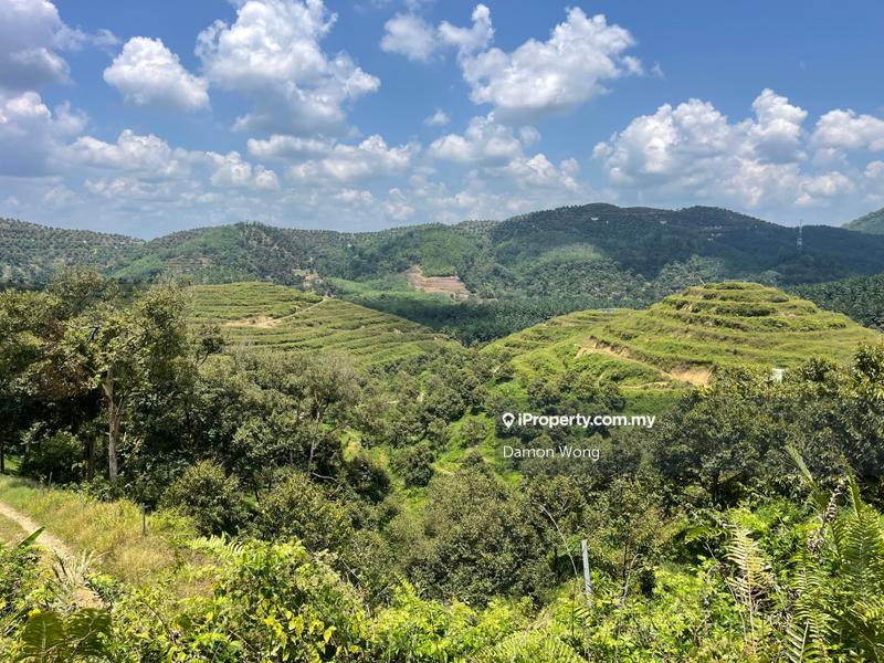 Tanah Pertanian untuk Dijual di Karak, Bentong oleh Damon Wong - iProperty.com.my