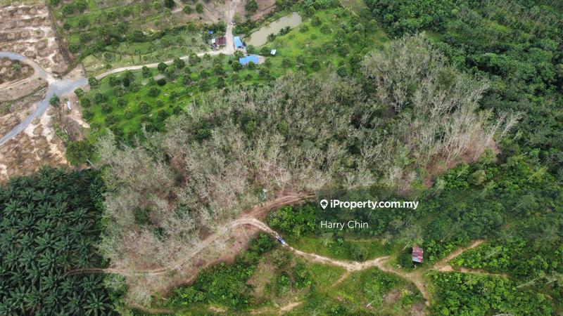 Tanah Pertanian untuk Dijual di Bentong, Pahang oleh Harry Chin - iProperty.com.my