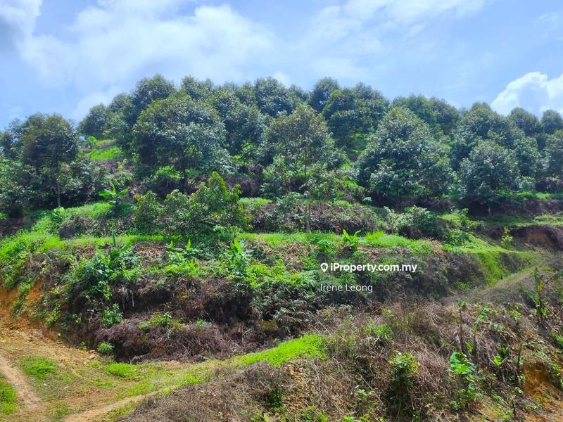 Tanah Pertanian untuk Dijual di Karak, Pahang oleh Irene Leong - iProperty.com.my