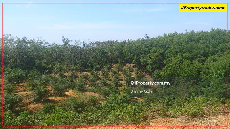 Agricultural Land untuk Dijual di Kerling, Kerling oleh Jimmy Goh - iProperty.com.my