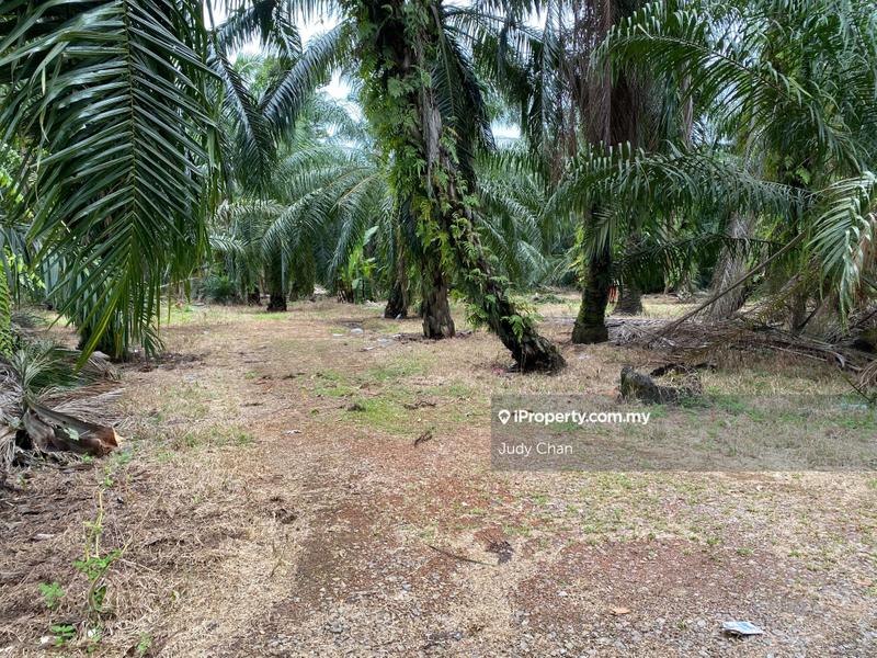 For Sale - Sijangkang Banting Klang