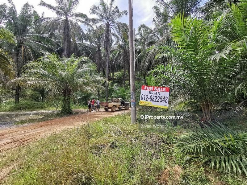 Agricultural Land for Sale in Penjom, Kuala Lipis, Pahang, Kuala Lipis by Bryan Wong - iProperty.com.my