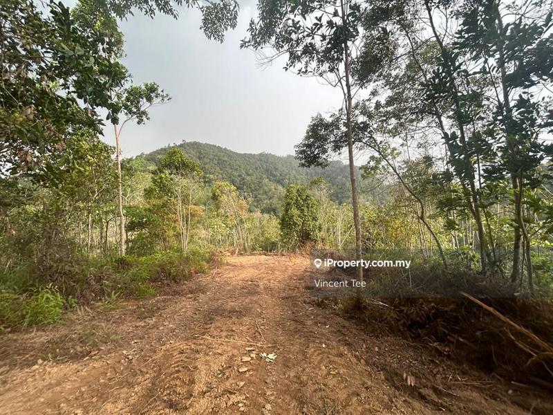 Tanah Pertanian untuk Dijual di Bandar Raub Perdana, Raub oleh Vincent Tee - iProperty.com.my