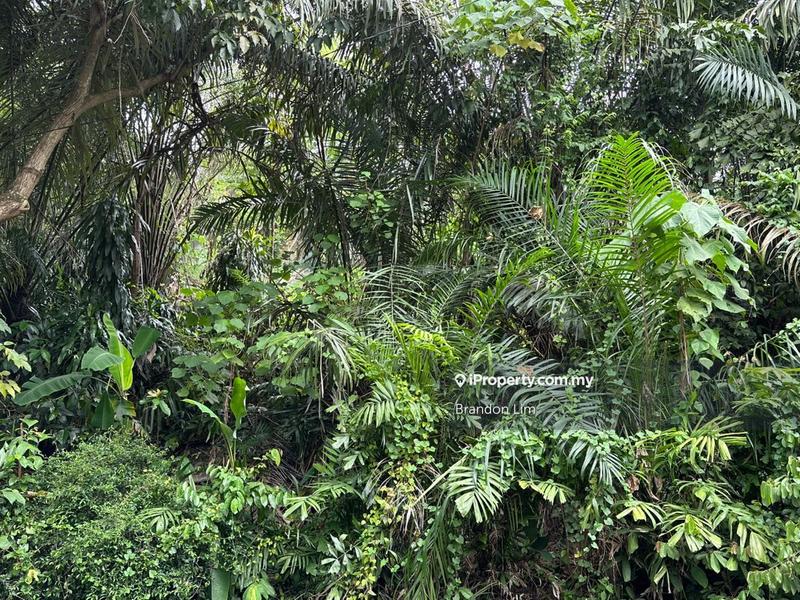Tanah Banglo untuk Dijual di Bukit Tunku (Kenny Hills), Kuala Lumpur oleh Brandon Lim - iProperty.com.my