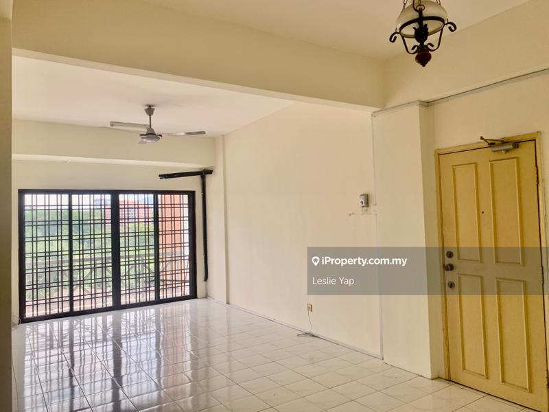 For Sale - Evergreen Park Scot Pine