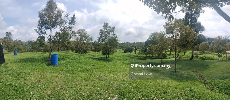 Tanah Pertanian untuk Dijual di Raub, Raub oleh Crystal Low - iProperty.com.my