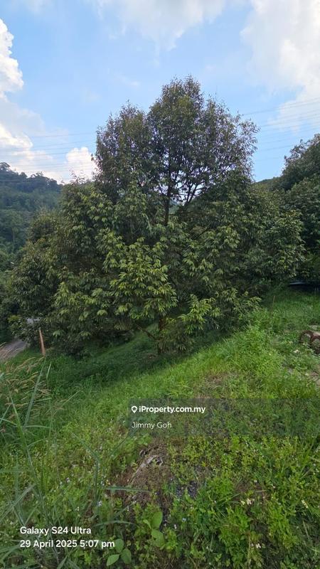Tanah Pertanian untuk Dijual di Kampung Sungai Tekali, Hulu Langat oleh Jimmy Goh - iProperty.com.my