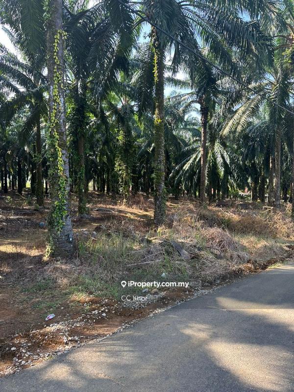 Tanah Kediaman untuk Dijual di Hulu Terengganu, Terengganu oleh CC Khor - iProperty.com.my