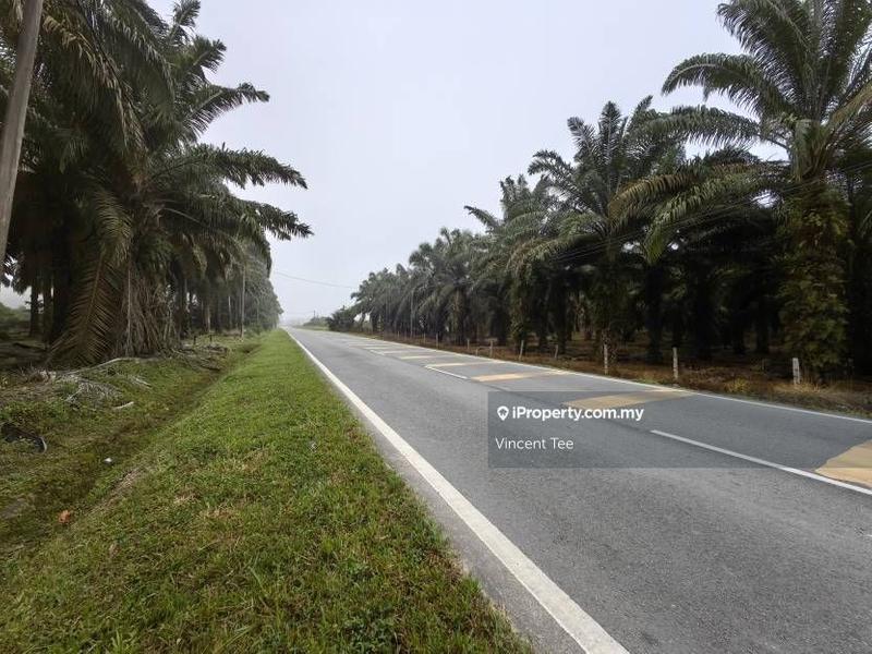 For Sale - Forty One Acre Agriculture Land Simpang Pertang Jelebu