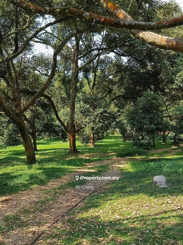 Agricultural Land for Sale in Bandar Raub Perdana, Raub by Mr Ching - iProperty.com.my