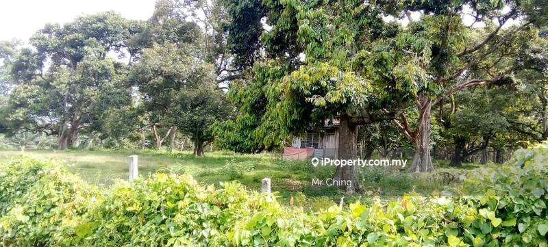 Agricultural Land for Sale in Taman Bemban, Bemban by Mr Ching - iProperty.com.my