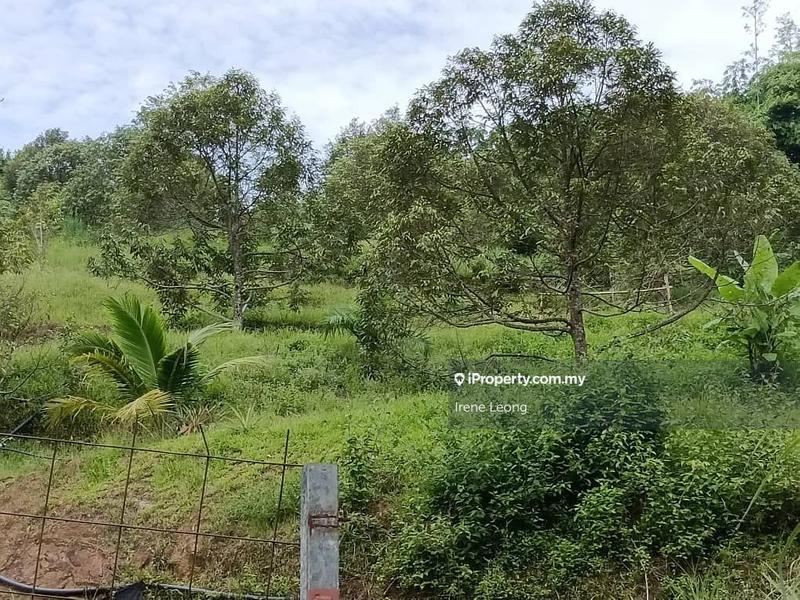 Agricultural Land for Sale in Raub, Pahang by Irene Leong - iProperty.com.my