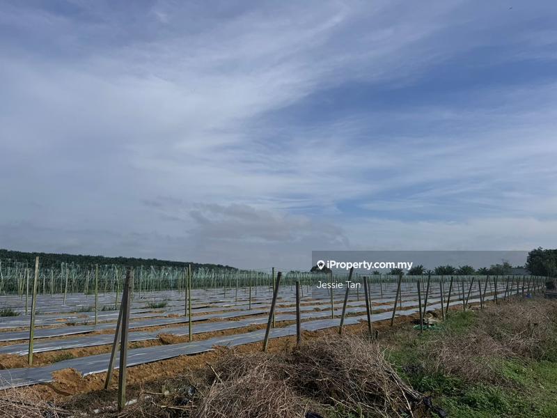 Agricultural Land for Sale in Kulai, Johor by Jessie Tan - iProperty.com.my
