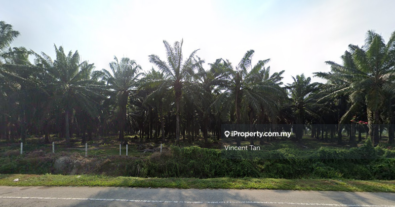 For Sale - Perak Land