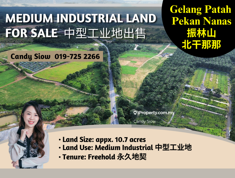 For Sale - Gelang Patah-Pekan Nanas 10.7acres Medium Industrial Land