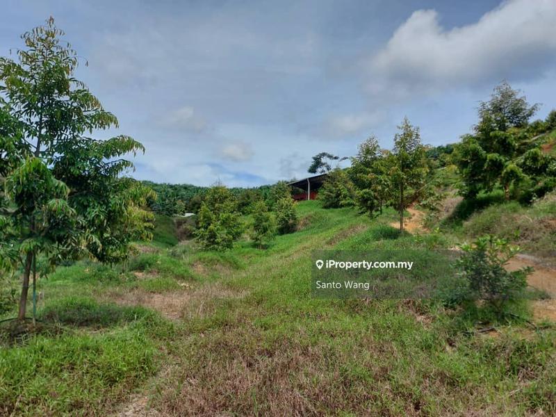 Agricultural Land for Sale in Sungai Tiram, Ulu Tiram by Santo Wang - iProperty.com.my