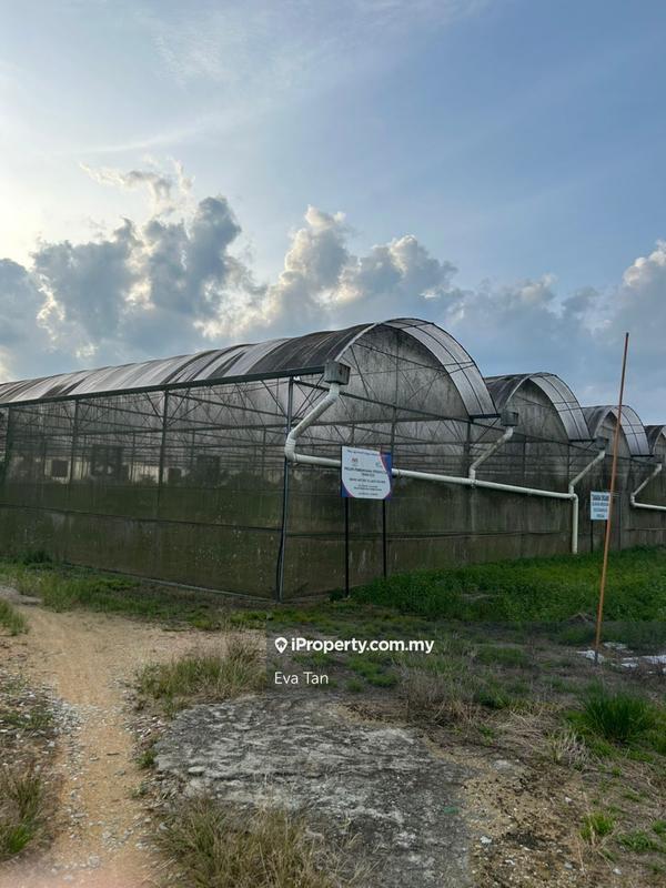 Agricultural Land for Sale in Kuala Sedili, Mawai, Kota Tinggi by Eva Tan - iProperty.com.my
