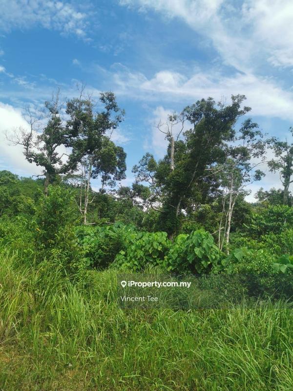Tanah Pertanian untuk Dijual di Bandar Raub Perdana, Raub oleh Vincent Tee - iProperty.com.my