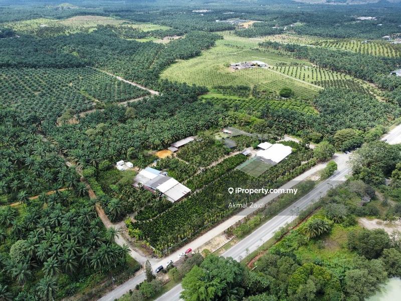 Agricultural Land for Sale in Melaka City, Melaka by Akmal Zaidi - iProperty.com.my