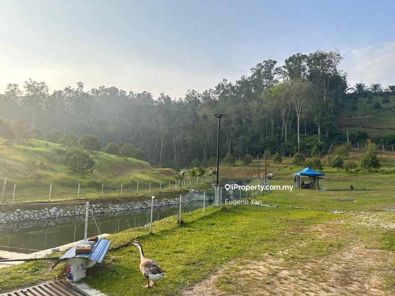 Agricultural Land for Sale in Serendah, Rawang by Eugene Yap - iProperty.com.my