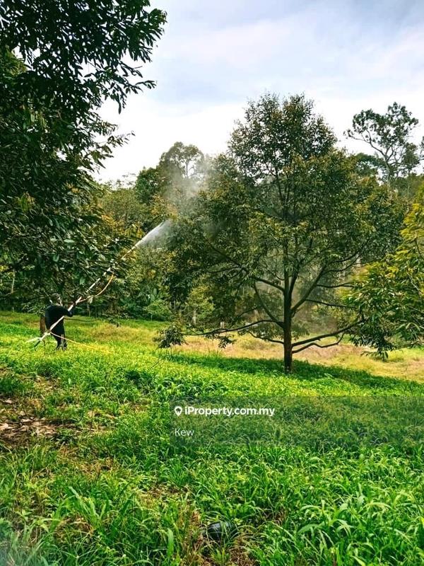 Tanah Pertanian untuk Dijual di Negeri Sembilan , Titi, Titi oleh Kew - iProperty.com.my