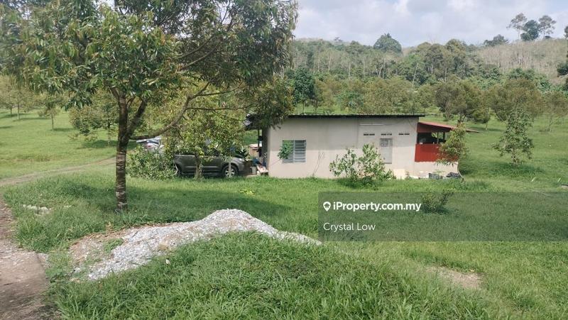 Tanah Pertanian untuk Dijual di Raub, Raub oleh Crystal Low - iProperty.com.my