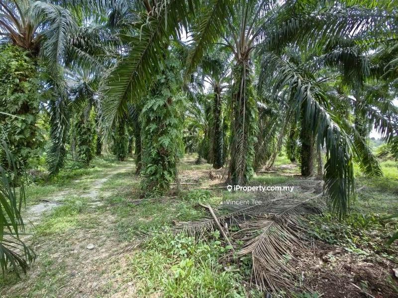 Agricultural Land for Sale in Kampung Jenderam Hulu, Dengkil by Vincent Tee - iProperty.com.my
