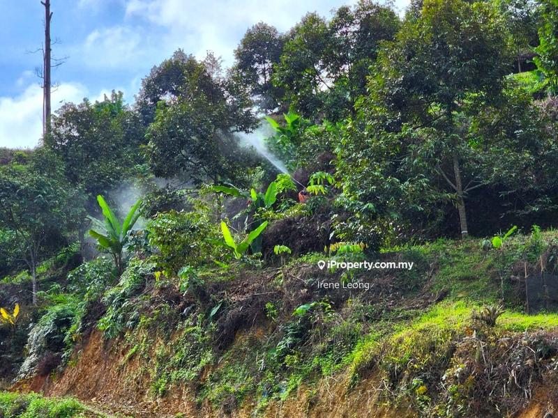 Tanah Pertanian untuk Dijual di Karak, Pahang oleh Irene Leong - iProperty.com.my