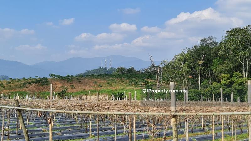 Tanah Pertanian untuk Dijual di Batang Kali, Selangor oleh Frank Low - iProperty.com.my