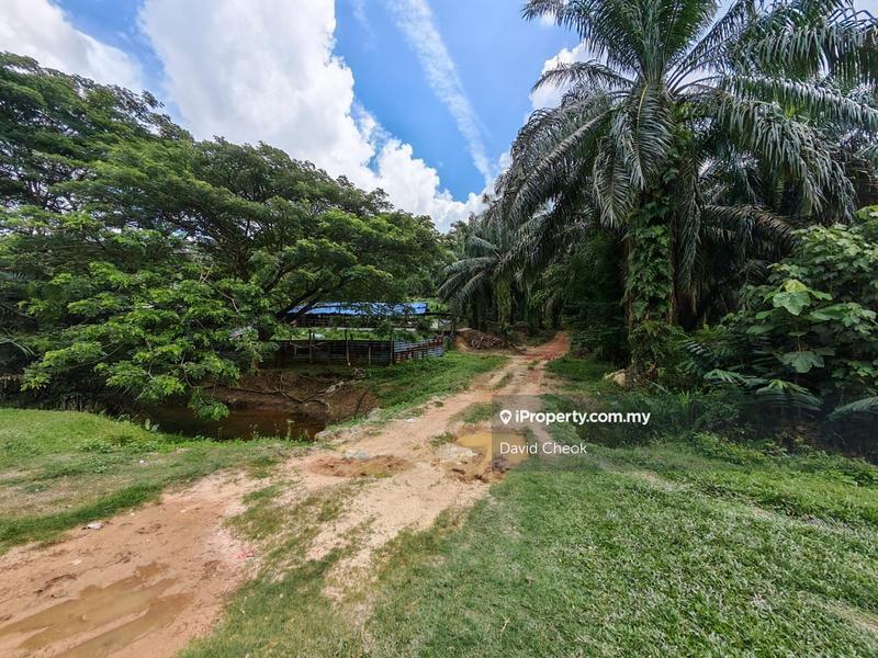 Tanah Pertanian untuk Dijual di Rantau, Negeri Sembilan oleh David Cheok - iProperty.com.my