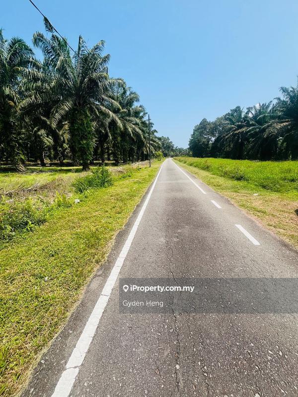 Agricultural Land for Sale in Parit Jawa Kayu Ara Pasong, Pontian by Gyden Heng - iProperty.com.my