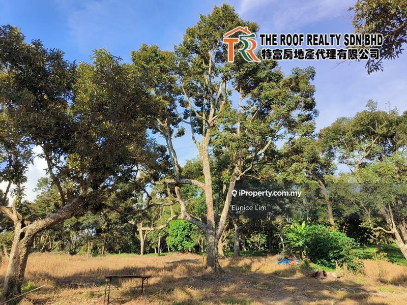 Tanah Pertanian untuk Dijual di Bukit Pasir, Muar oleh Eunice Lim - iProperty.com.my