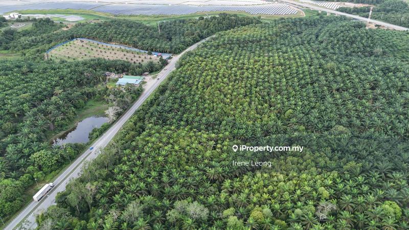 Tanah Pertanian untuk Dijual di Pekan Gambang, Kuantan oleh Irene Leong - iProperty.com.my
