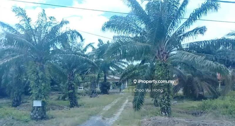 For Sale - Freehold Main Road Land
