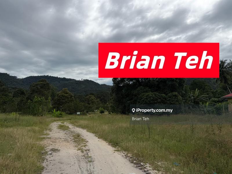 For Sale - Durian Farm Agricultural Land Sale at Balik Pulau 20 Acre Freehold With Road Access