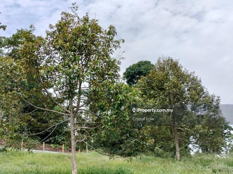 Tanah Pertanian untuk Dijual di Sega, Raub oleh Crystal Low - iProperty.com.my