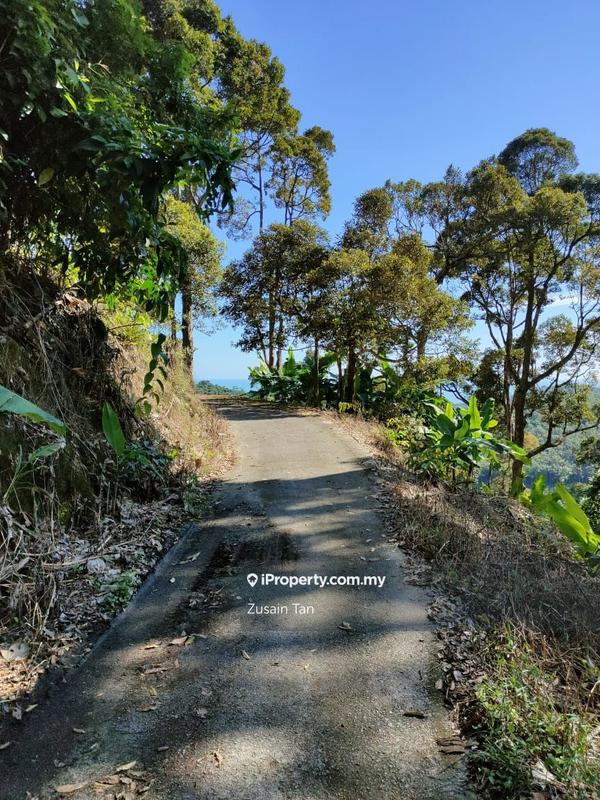 Agricultural Land for Sale in Gertak Sanggul, Bayan Lepas by Zusain Tan - iProperty.com.my