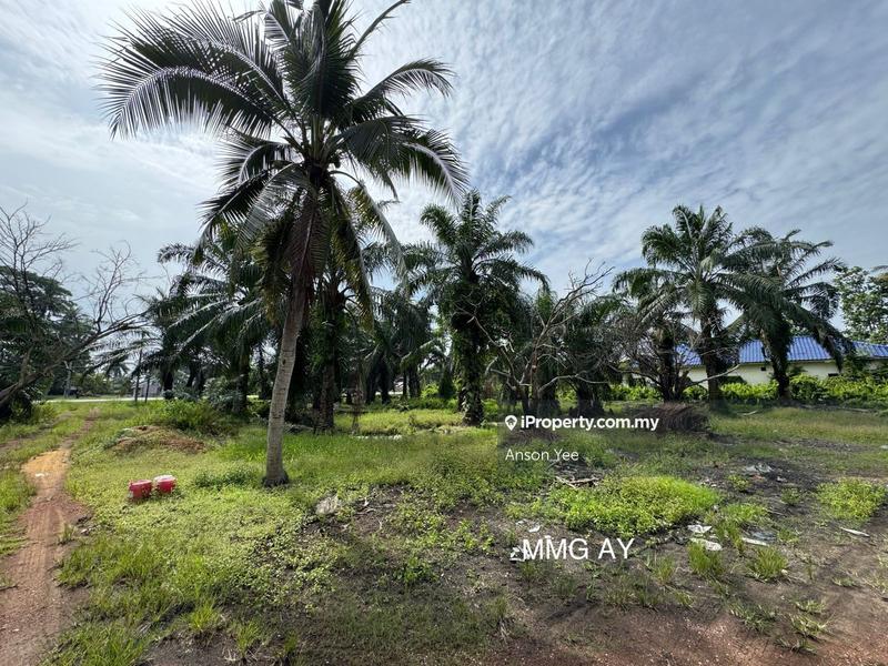 For Sale - 【 2.16 Acre 】Beside Mainroad Agricultural Land For Sale @ Kuala Selangor