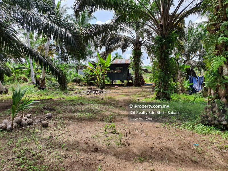 Agricultural Land for Sale in Tawau, Sabah by Liaw Vui Onn - iProperty.com.my