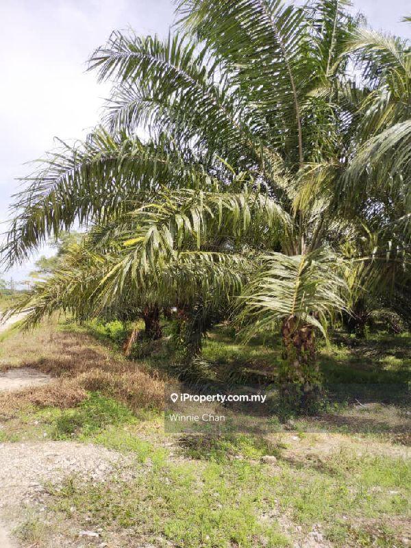Tanah Pertanian untuk Dijual di Taman Lekir, Sitiawan oleh Winnie Chan - iProperty.com.my