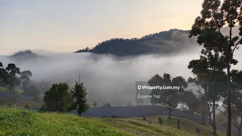 Agricultural Land for Sale in Bukit Tinggi, Bentong by Eugene Yap - iProperty.com.my