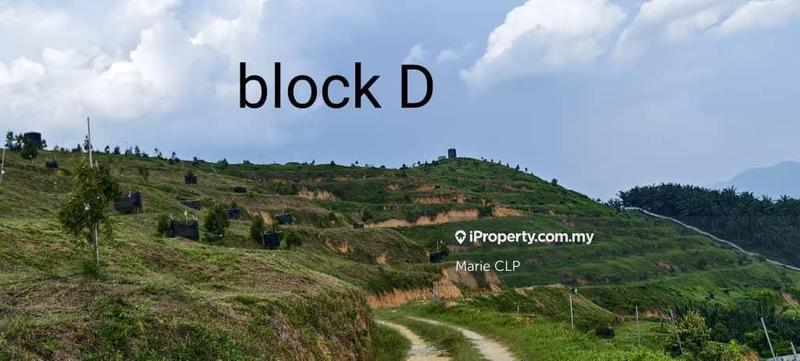 Agricultural Land for Sale in Lenggong, Perak by Marie CLP - iProperty.com.my