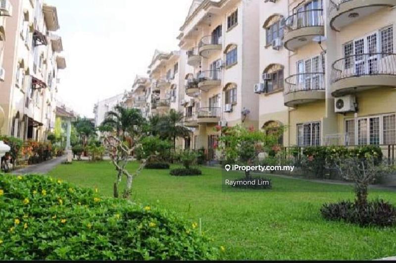 For Sale - Golden Showers (Kondo Ruby)